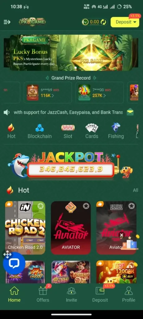 PK8 Game Interface Screenshot