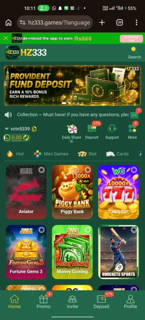 HZ333 Game