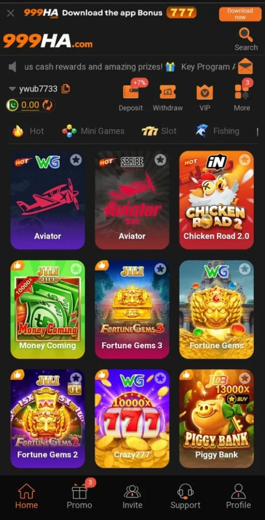999HA Game