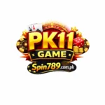 PK11 Game